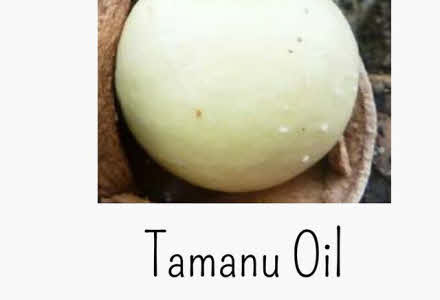 Tamanu