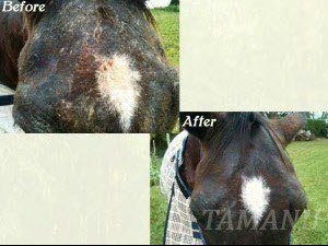 Before after